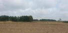 Działka pod dom 3239 m² – prąd w drodze – Kiszkowo - 5