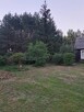 Działka rolno-leśna z siedliskiem - Stanisławowo, gm. Zbójna - 6