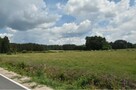 Syndyk sprzeda - Tartak, nieruchomość gruntowa 0,66 ha - 1