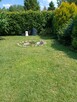 Ogródek działkowy - 3