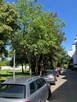 Mieszkanie parter (63.3m2) z ogródkiem - 12