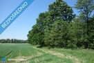 Skoczów Ochaby 62ar pod lasem pod rekreacje altanke domek - 3