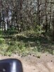 Działka budowlana Pasym, Polna - 1