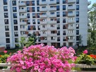Mieszkanie Kraków, Wybickiego - 1