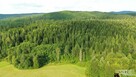Urokliwa działka z potokiem - Berezka - 10