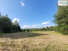 Działka rolna Masłów Masłów Drugi - 8