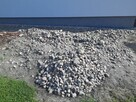 Kamień polny - 2