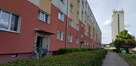 Piwnica w Pile do wynajęcia – ścisłe centrum miasta - 1