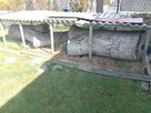Drewno orzechowe - 4