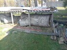Drewno orzechowe - 2