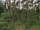 Sprzedam działkę leśną w Zbiersku - 1