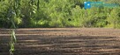 Działka budowlana 1000 m² Brwinów Półnnoc - 1
