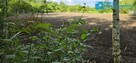 Działka budowlana 1000 m² Brwinów Półnnoc - 4