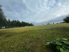 Sprzedam działkę - 14