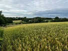 Sprzedam działkę - 4