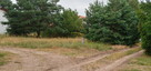 Sprzedam działka nad jeziorem Obra ul. Smugowa k/ Wolsztyn - 2
