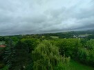 Wynajmę mieszkanie w Miechowie - 13