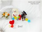 Mini Suczka BETI Ratlerek Sarenka Pinczer miniaturowy+Rodowó - 6