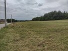 Działka 5200m2 - 1