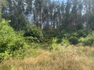Działka budowlana Grodzisk Mazowiecki - 2
