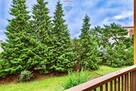 2 pokoje, pow. 54,7 m² z miejscem postojowym - 16