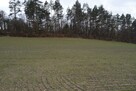 Działka rekreacyjna Stare Polaszki gm. Stara Kiszewa - 6