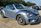 vw beetle coccinelle - 11