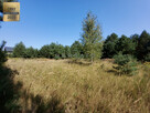 Działka budowlana Marianów gm. Leszno, - 4