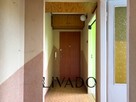 3 pokoje I 47,2 m2 I Os. Złotego Wieku - 14