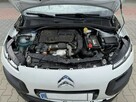 Citroen C4 Cactus - 10