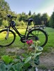 Wynajmę domek letniskowy w górach - 9