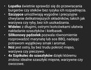 Zestaw grillowy 10w1+rękawice 800 stopni C - 5