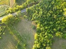 Działka rolna Nowe Miasto nad Pilicą Pobiedna - 6