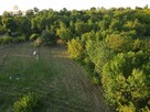 Działka rolna Nowe Miasto nad Pilicą Pobiedna - 8