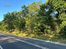 Działka rolna Nowe Miasto nad Pilicą Pobiedna - 9