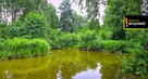 Działka rolna Żuków gm. Solec-Zdrój, - 5