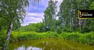 Działka rolna Żuków gm. Solec-Zdrój, - 8