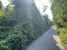 Duża działka budowlana w Krzeczowie - 4