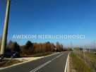 Działka rolna Kotorydz gm. Tarczyn - 3