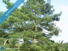 Nowa Wieś Ełcka - działka pod zabudowę jednorodzinną - 8