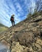 Prace Alpinistyczne 3200 netto !!Wycinka terenów zielonych