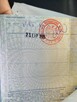 Traffic VAT - 1 w dowodzie rejestracyjnym - 3