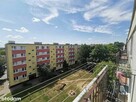 Sprzedam mieszkanie z balkonem , do remontu - 13