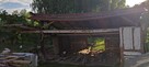Oddam wiatę jak na foto i kilka powalonych z lasu drzew - Ko - 1
