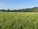 Sprzedam działkę - 2
