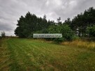 OgrodzonaDziałka budowlana z nasadzeniami i prądem - 7
