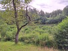 Działka nad Jeziorem Mucharskim - 4