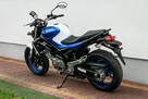 Suzuki Gladius 650 R 2014 ABS  MAŁY PRZEBIEG Raty Transport Największy Wybór KAT A2 - 5