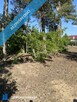 Działka budowlana na sprzedaż w okolicach Uniejowa 1240m2 - 5