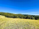 Działka rolno leśna- Żurowa- Szerzyny- Małopolska - 4